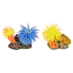 Abbildung Flamingo Aquarium Dekoration Leo Anemone