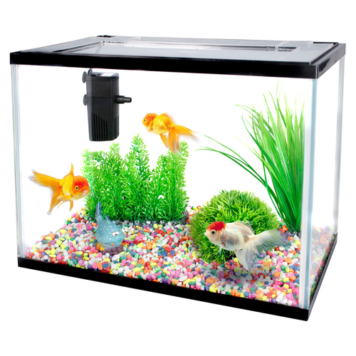 weitere Abbildung Flamingo Aquarium-Set Lollipop 16 l