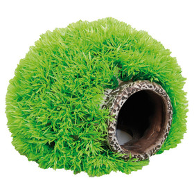 Abbildung Flamingo Aquariumpflanze Moosball mit Hhle