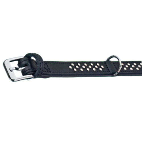 Flamingo Atlanta Halsband schwarz mit Nieten