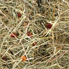Flamingo Bergheu mit Hagebutte 500 g Abbildung 2