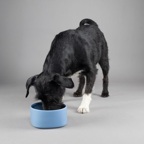 weitere Abbildung Flamingo Futter- und Trinknapf Zara rund blau fr Hunde