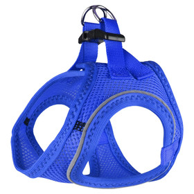 Abbildung Flamingo Geschirr Step & Go Bento blau