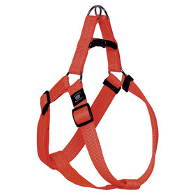 Abbildung Flamingo Geschirr Step & Go Len orange