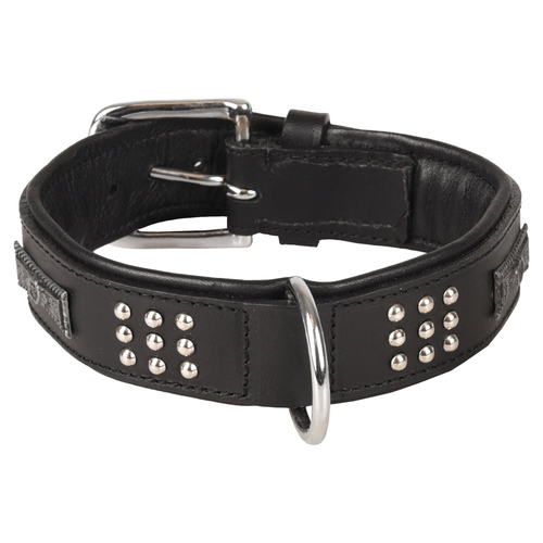 Halsband Sedona Leder mit Nieten schwarz, Abbildung 1