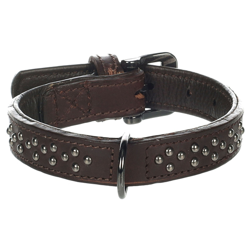 Flamingo Halsband mit Nieten Denver braun