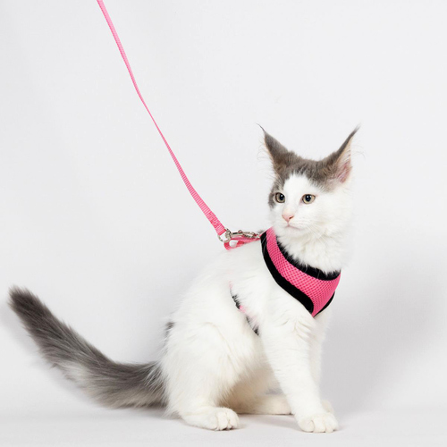 weitere Abbildung Flamingo Harms Katzengeschirr-Set rosa/schwarz