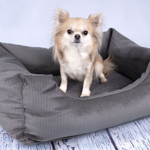 weitere Abbildung Flamingo Hundebett Celeste rechteckig grau