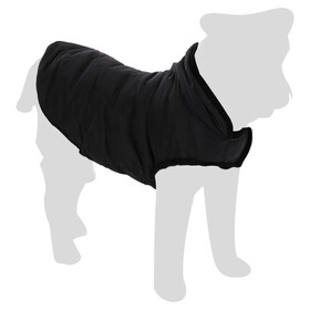 Flamingo Dog Mabe Boso Black