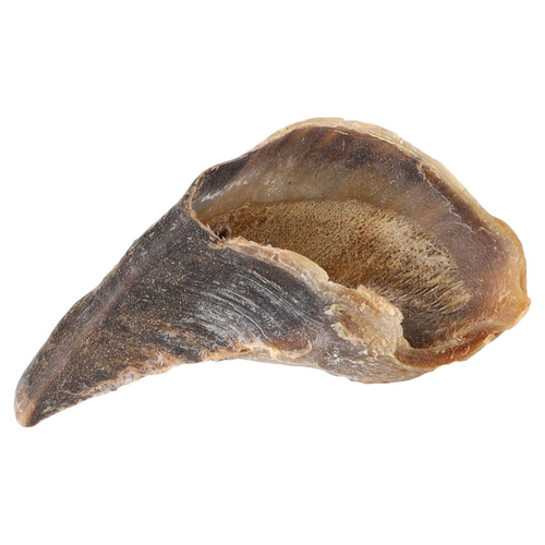 Flamingo Hundesnack Nature Kuhhuf - 50er Pack