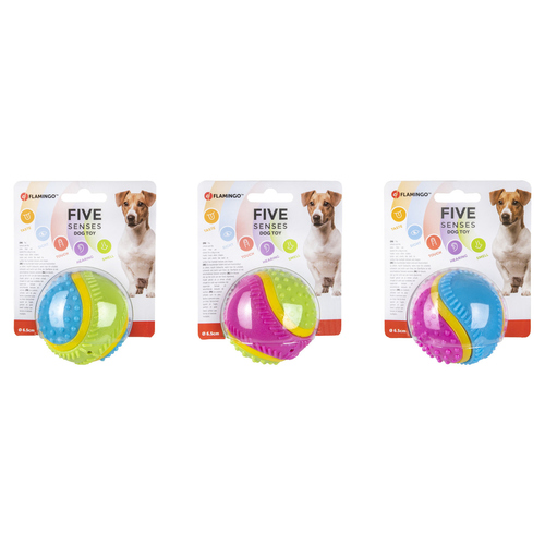 weitere Abbildung Flamingo Hundespielzeug Abta 5 Senses Ball Mix