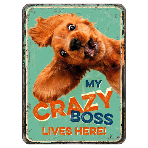 Flamingo Magnet "My Crazy Boss live here!"