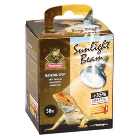 Abbildung Flamingo Wrmespot Sunlight Beam