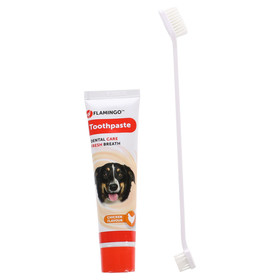 Abbildung Flamingo Zahnpasta Dafra Hhnergeschmack + Zahnbrste 85 g