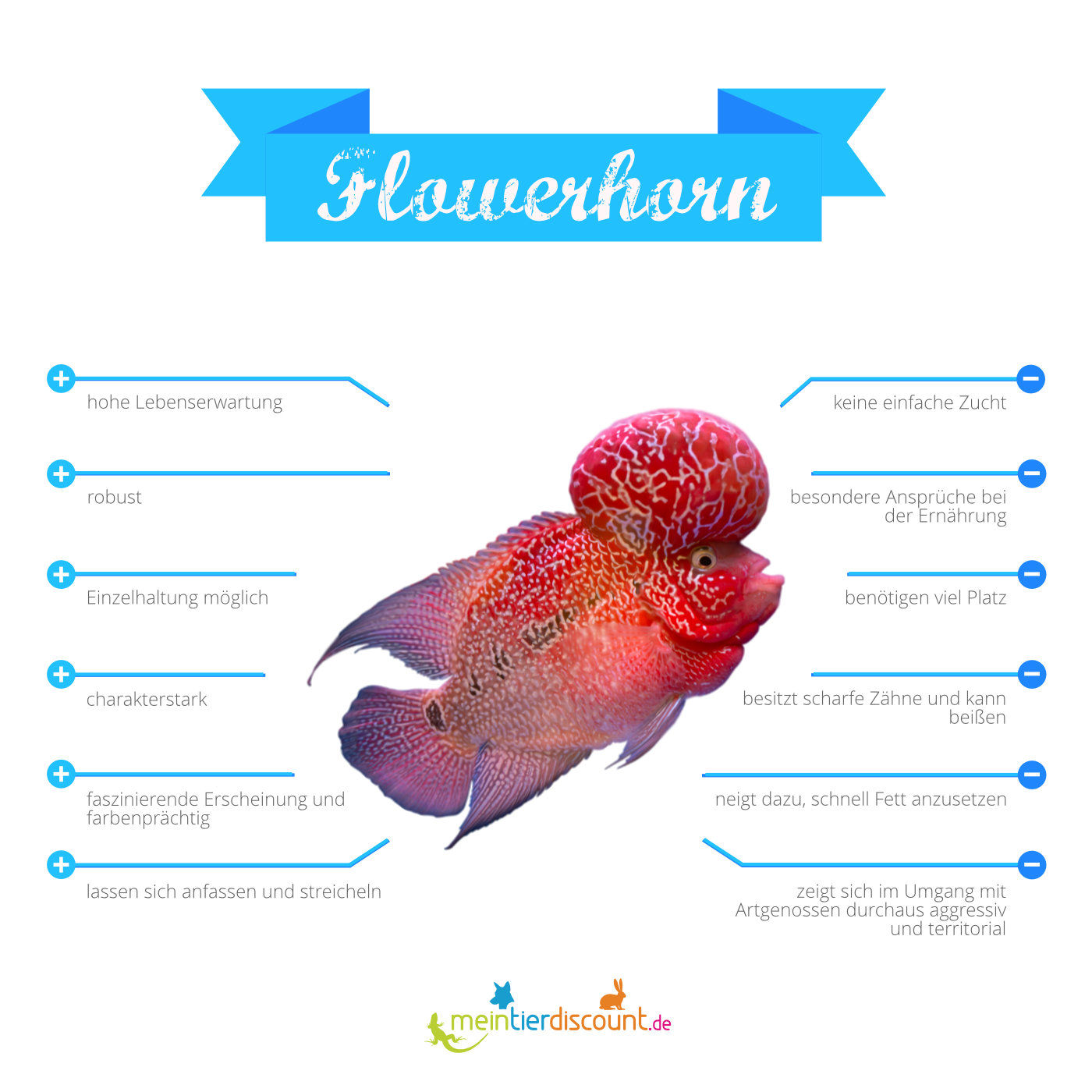 Flowerhorn