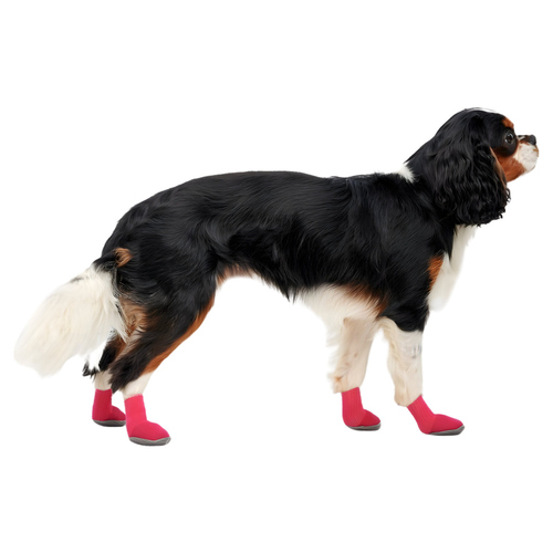 weitere Abbildung Goo-eez Hundeschuhe Lites rot/schwarz - 4er Pack