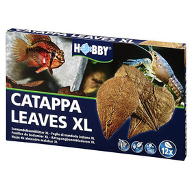 Abbildung HOBBY Catappa Leaves XL - 12 Stck