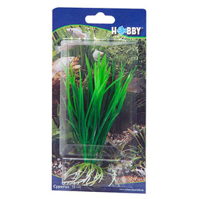 Abbildung HOBBY Cyperus