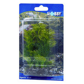 Abbildung HOBBY Egeria