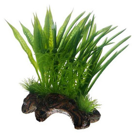 Abbildung HOBBY Flora Root 1