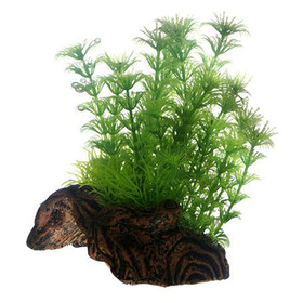 Abbildung HOBBY Flora Root 3