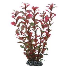Abbildung HOBBY Ludwigia
