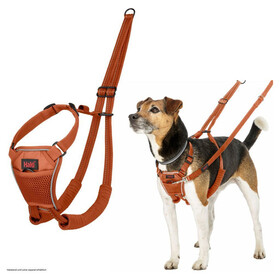 Halti Erziehungsgeschirr No Pull Harness Burnt Orange