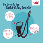 Erziehungsgeschirr No Pull Harness Burnt Orange, Abbildung 2