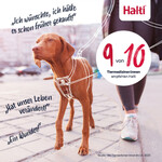 Erziehungsgeschirr No Pull Harness Burnt Orange, Abbildung 5