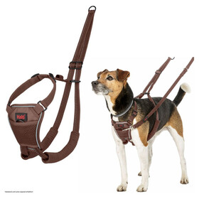 Halti Erziehungsgeschirr No Pull Harness Deep Walnut