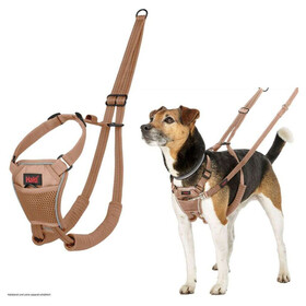 Halti Erziehungsgeschirr No Pull Harness Desert Sand