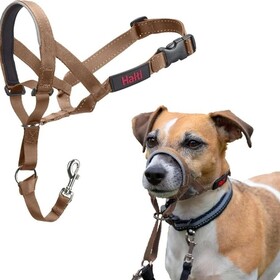 Halti Kopfgeschirr/Headcollar sand