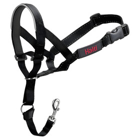 Halti Kopfgeschirr/Headcollar schwarz