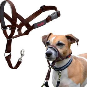 Halti Kopfgeschirr/Headcollar walnuss
