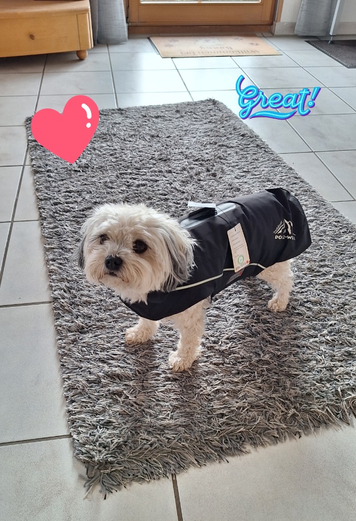 Wolters | Skijacke Dogz Wear Wasserdichtem RV Rot/schwarz | Rückenlänge 28 Cm