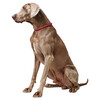 Hunter Dressurhalsung Freestyle bordeaux Abbildung 3