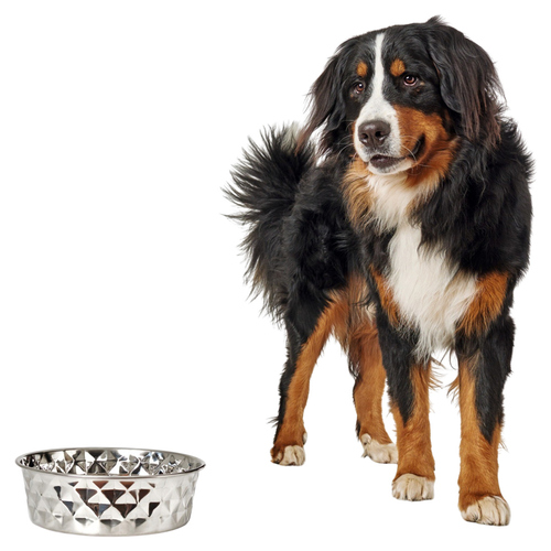 weitere Abbildung Hunter Edelstahlnapf Namy fr Hunde