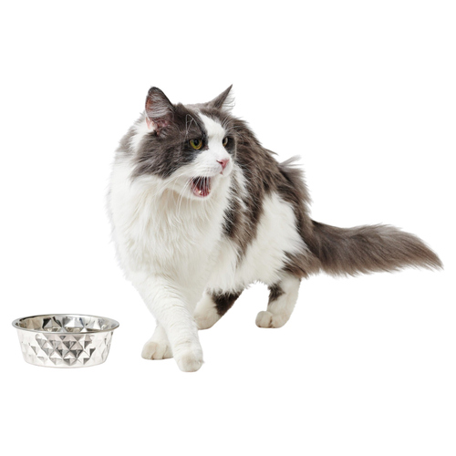 weitere Abbildung Hunter Edelstahlnapf Namy fr Katzen