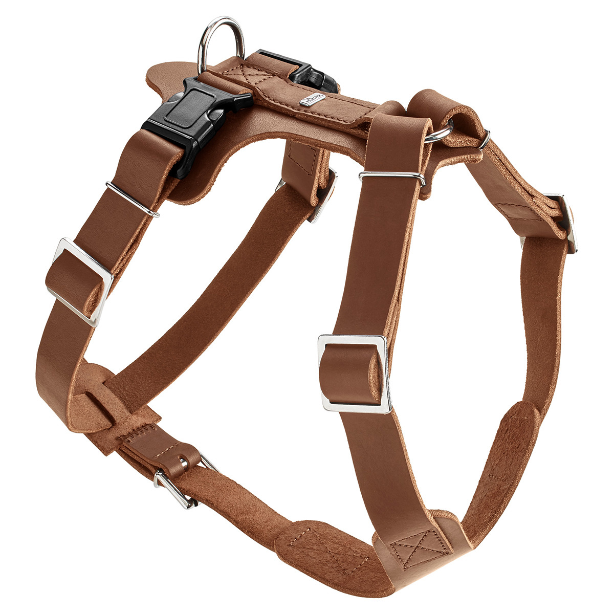 HUNTER AALBORG SPECIAL Hundehalsband olivgrün, robust