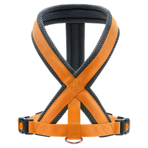 weitere Abbildung Hunter Geschirr London Comfort orange