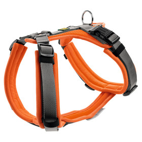 Abbildung Hunter Geschirr Maldon orange/grau