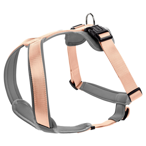 Hunter Geschirr Neopren pfirsich/grau
