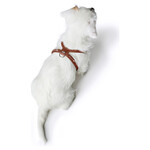 Geschirr Round & Soft Canadian Up cognac, Abbildung 5