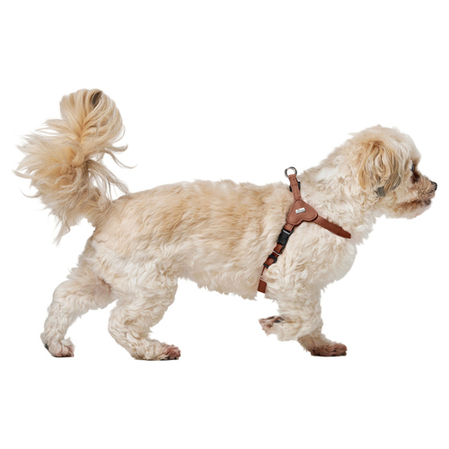 weitere Abbildung Hunter Geschirr Soho Mini cognac