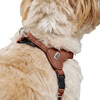 Hunter Geschirr Soho Mini cognac Abbildung 3