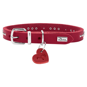 Abbildung Hunter Halsband Aalborg Hearts rot