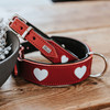 Hunter Halsband Love rot/schwarz Abbildung 4