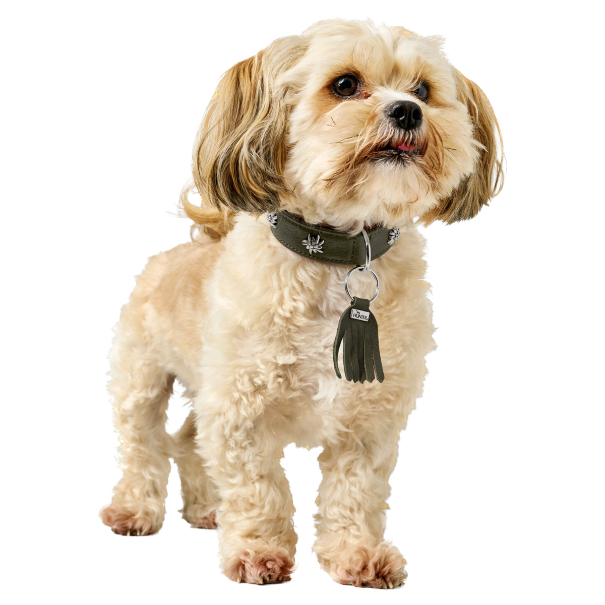 Hunter Hundehalsband München Cognac/Schwarz, Premium Leder, Trachten-Look, Luxus