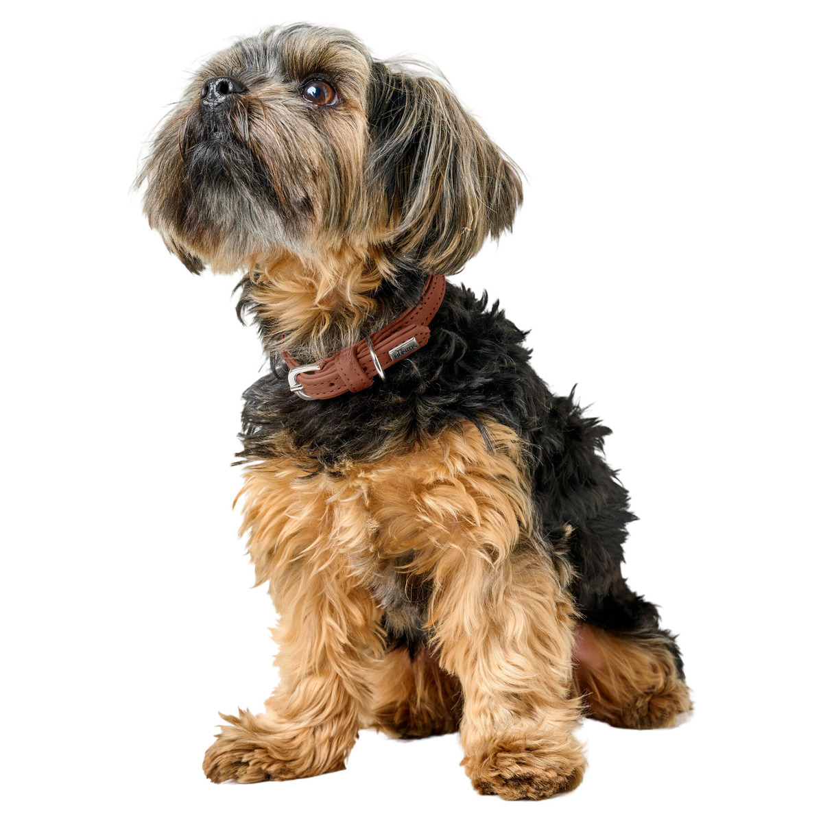 HUNTER hondenhalsband SOHO MINI, Kleur: zwart, rundleer, zacht & soepel, vachtvriendelijk, licht, voor kleine honden & pups, Made in Germany, Maat: 32