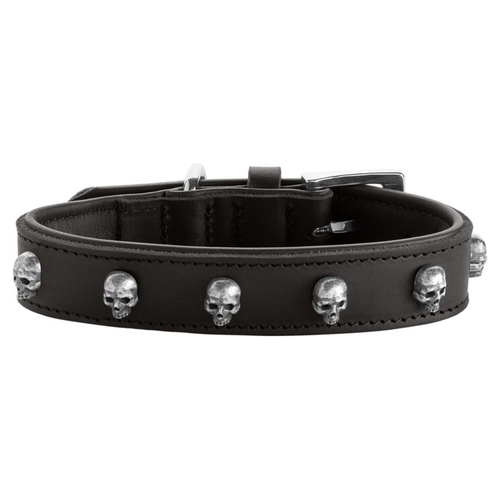 Hunter Halsband Tijuana schwarz, Rindsleder, Hund, Totenkopf-Bestze,  langlebig | eBay.de